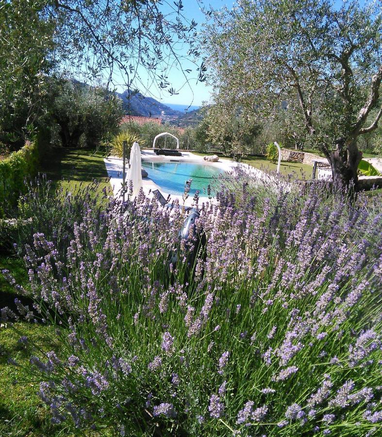 La Cicala Stonata Bed and Breakfast Dolceacqua Buitenkant foto