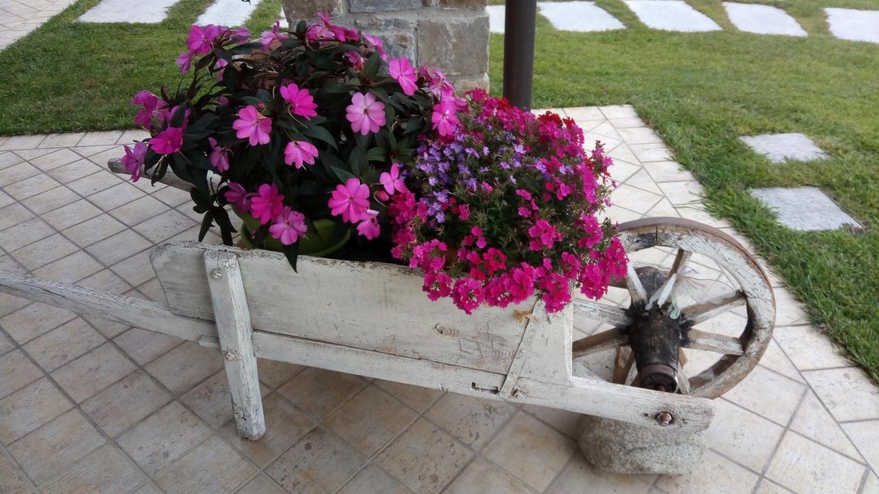 La Cicala Stonata Bed and Breakfast Dolceacqua Buitenkant foto