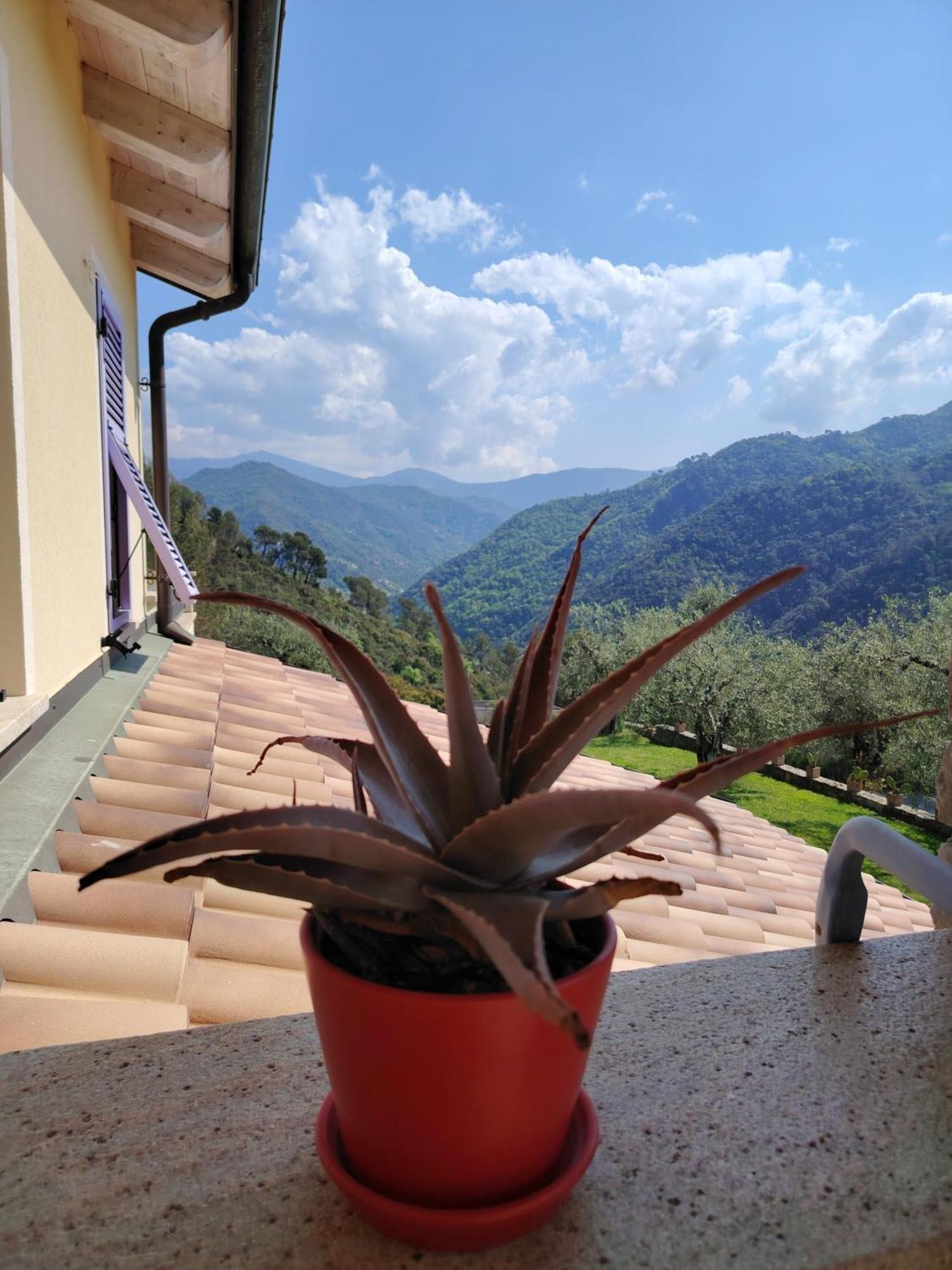 La Cicala Stonata Bed and Breakfast Dolceacqua Buitenkant foto
